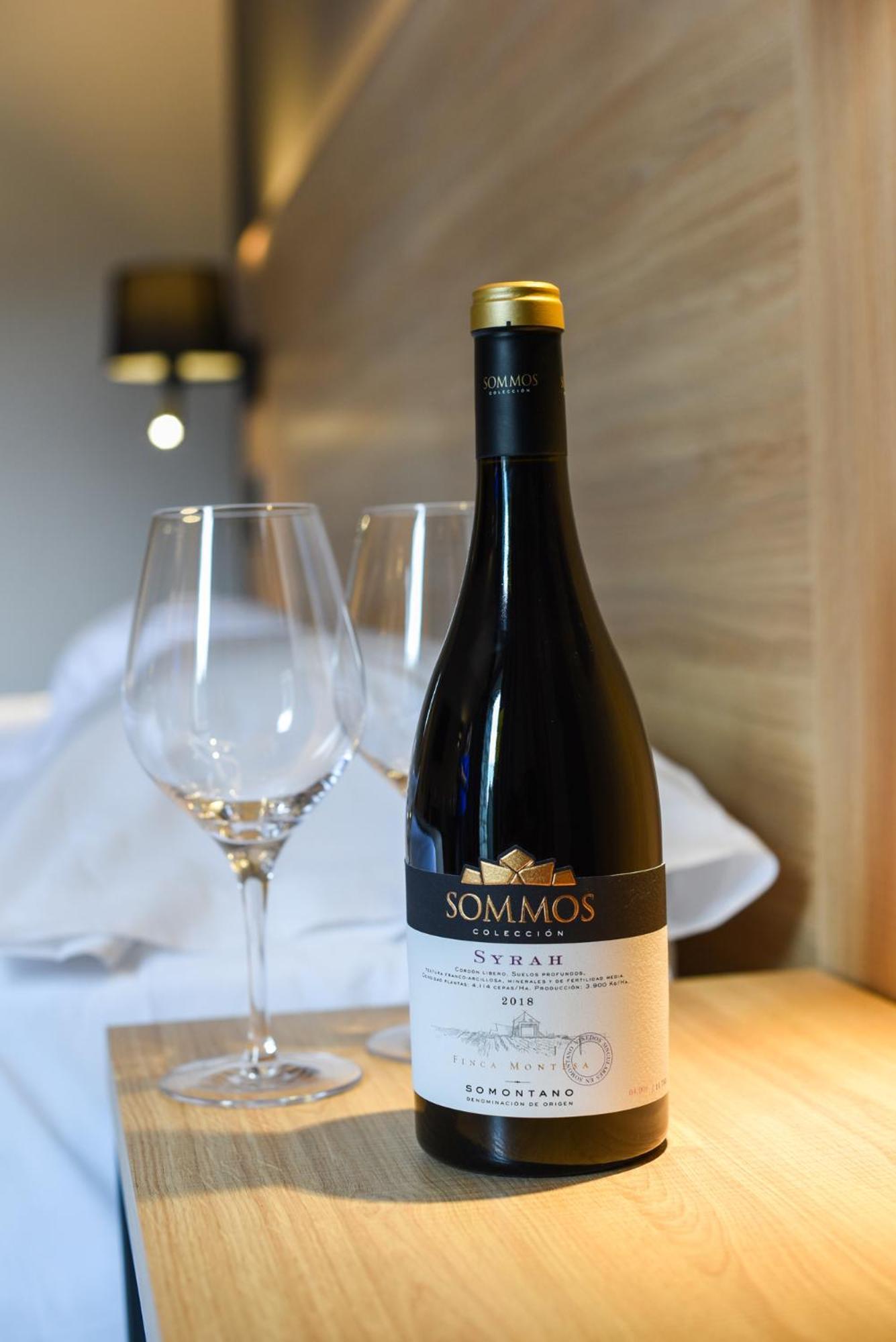 Sommos Hotel Benasque Spa エクステリア 写真